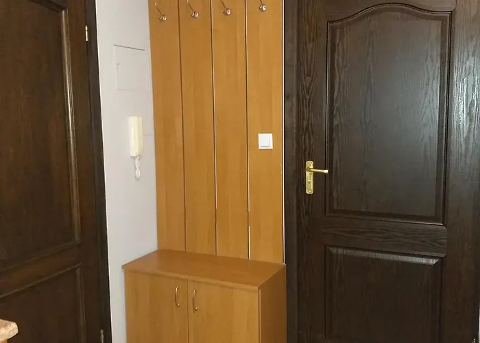 Malinka ザコパネ