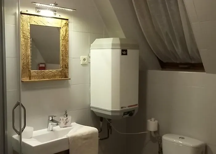 Malinka ザコパネ